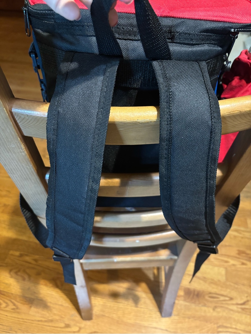 PICNIC READY!! NEW Adorable Blue and Red Insulated Picnic Backpack Set - a - Picture 8 of 8